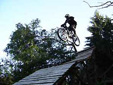 bike_14